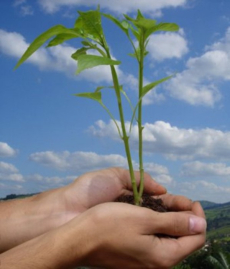 HOMENAGEM AO AGRICULTOR